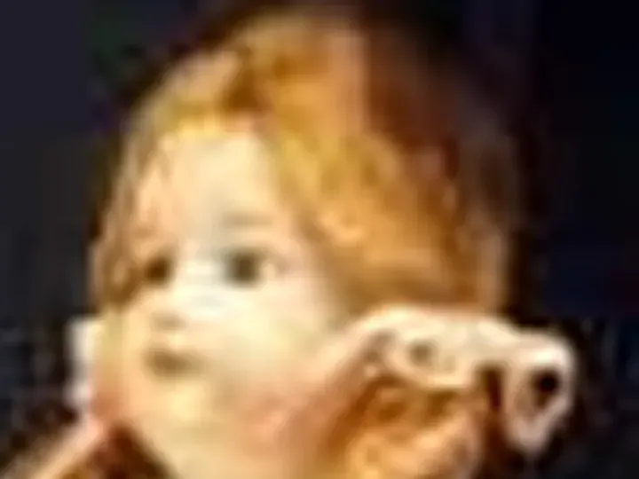 What every tool got: a bisque doll's face