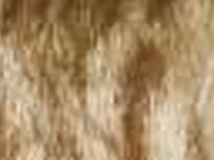 What every tool got: a 64 × 48 px detail of the Cat photo