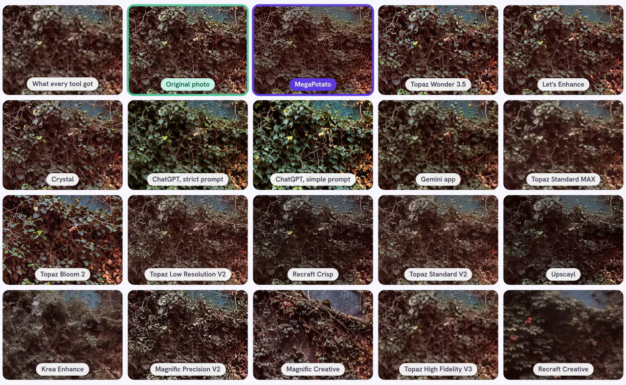 Houses, Istanbul · 100 × 75 px of 504 × 336, the same detail through every tool and setting of the core test: what every tool got, the original photo and 18 results, MegaPotato outlined