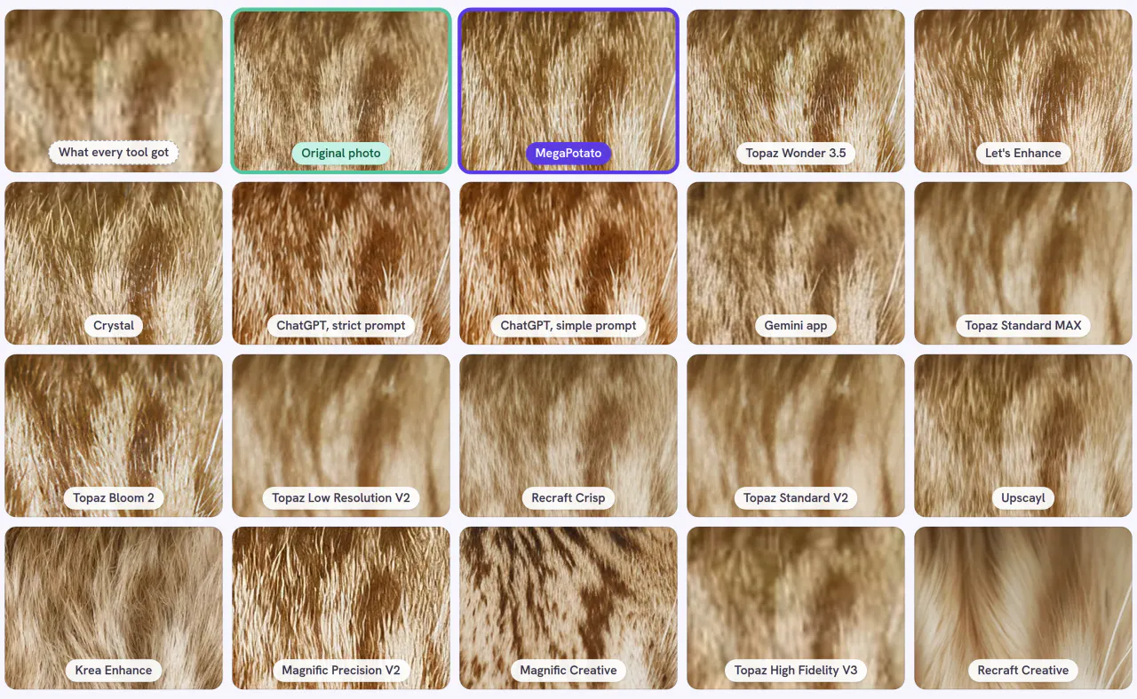 Cat · 64 × 48 px of 504 × 336, the same detail through every tool and setting of the core test: what every tool got, the original photo and 18 results, MegaPotato outlined